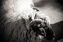 %_tempFileNameIMG_0889%
